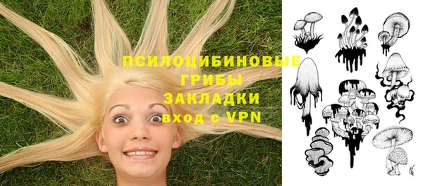 прущие крисы Костерёво