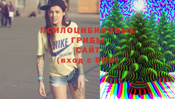 не бодяженный Корсаков
