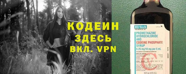 не бодяженный Корсаков
